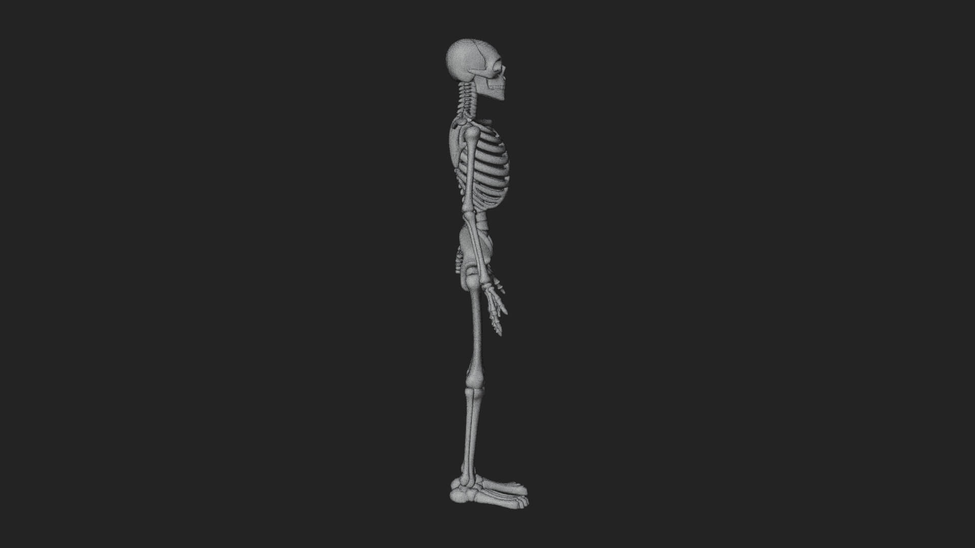Skeleton Warrior Statue Design 19 3D Print Model 3D Model