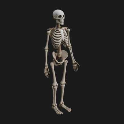 Skeleton Warrior Statue Design 19 3D Print Model