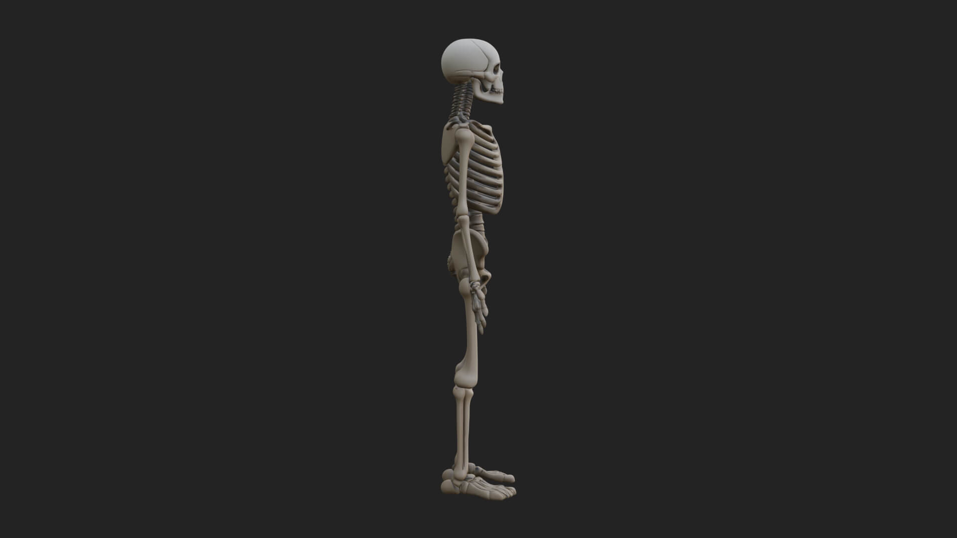 Skeleton Warrior Statue Design 21 3D Print Model 3D Model