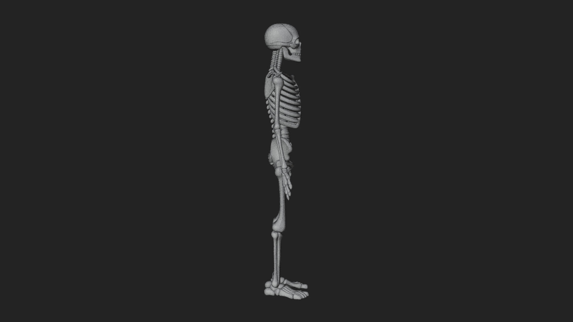 Skeleton Warrior Statue Design 21 3D Print Model 3D Model