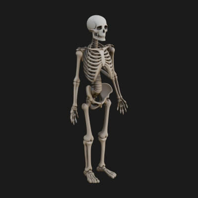 Skeleton Warrior Statue Design 21 3D Print Model