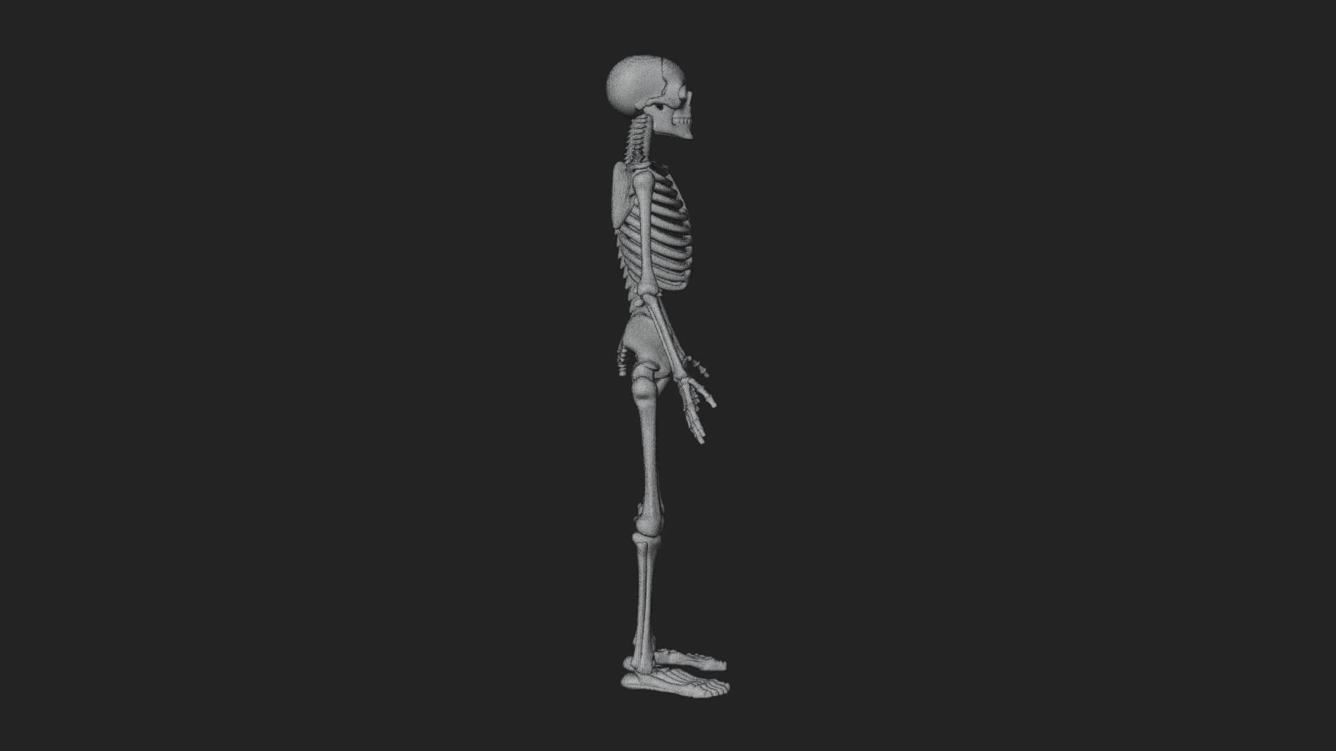 Skeleton Warrior Statue Design 24 3D Print Model 3D Model