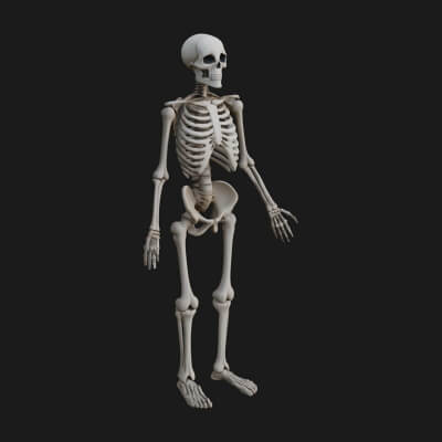 Skeleton Warrior Statue Design 24 3D Print Model