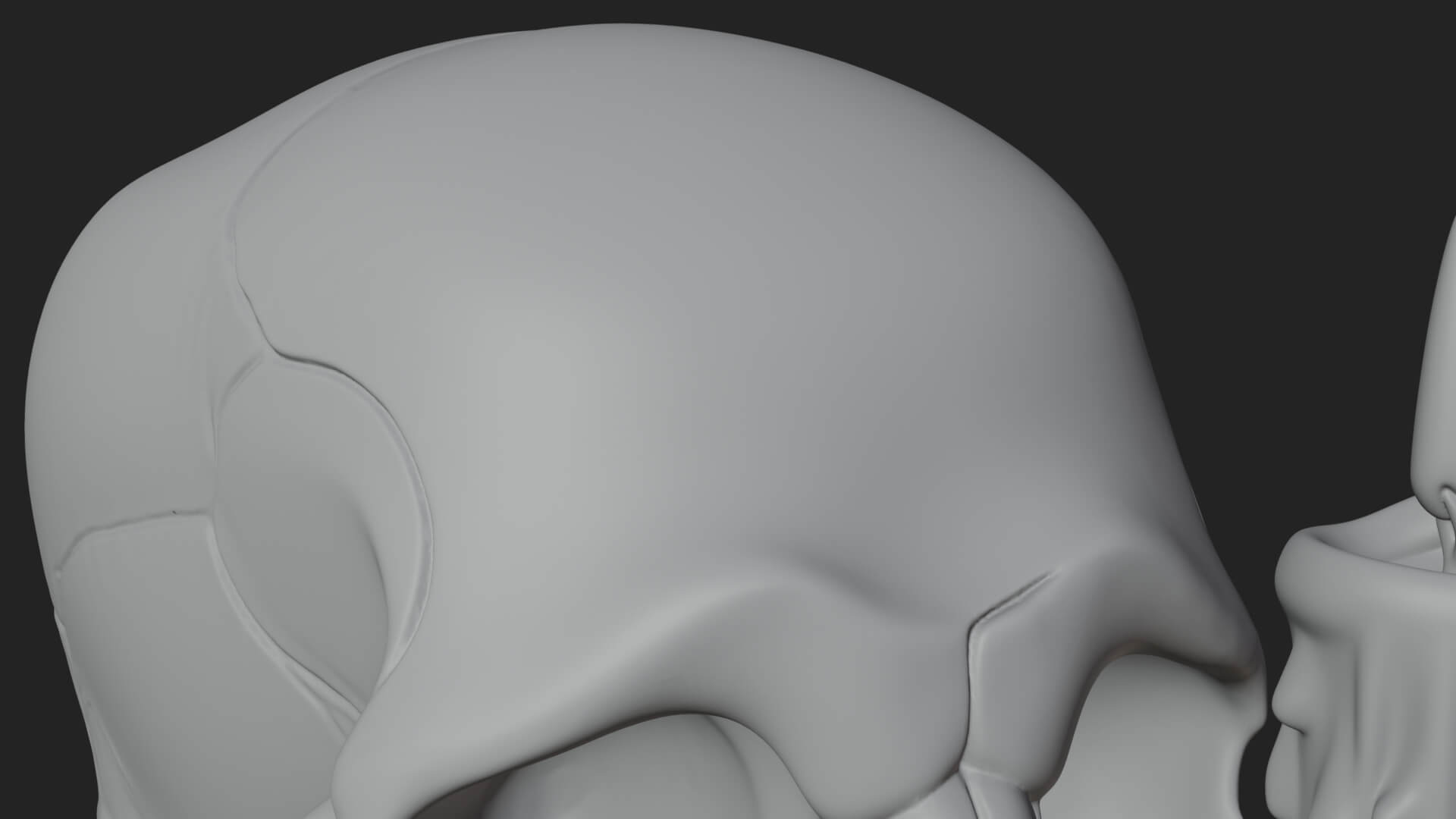 Skull Candle Holder Ornament Design 2 3D Print Model 3D Model