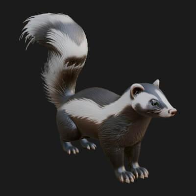 Skunk Statue Design 1 3D Print Model