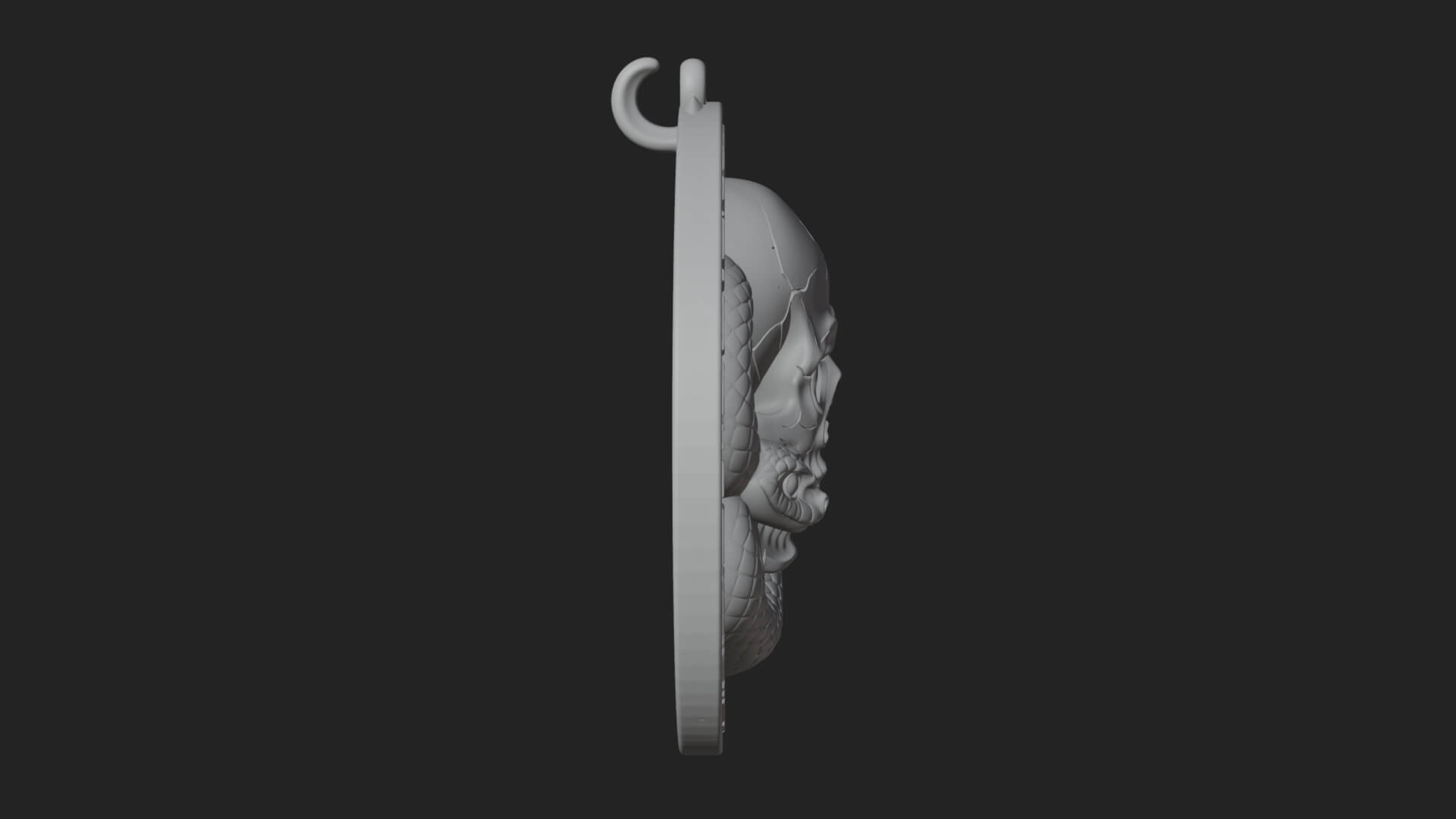 Snake Skull Oval Relief Plaque Design 1 3D Print Model 3D Model