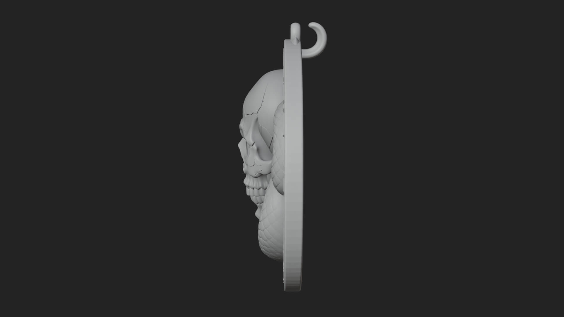 Snake Skull Oval Relief Plaque Design 1 3D Print Model 3D Model