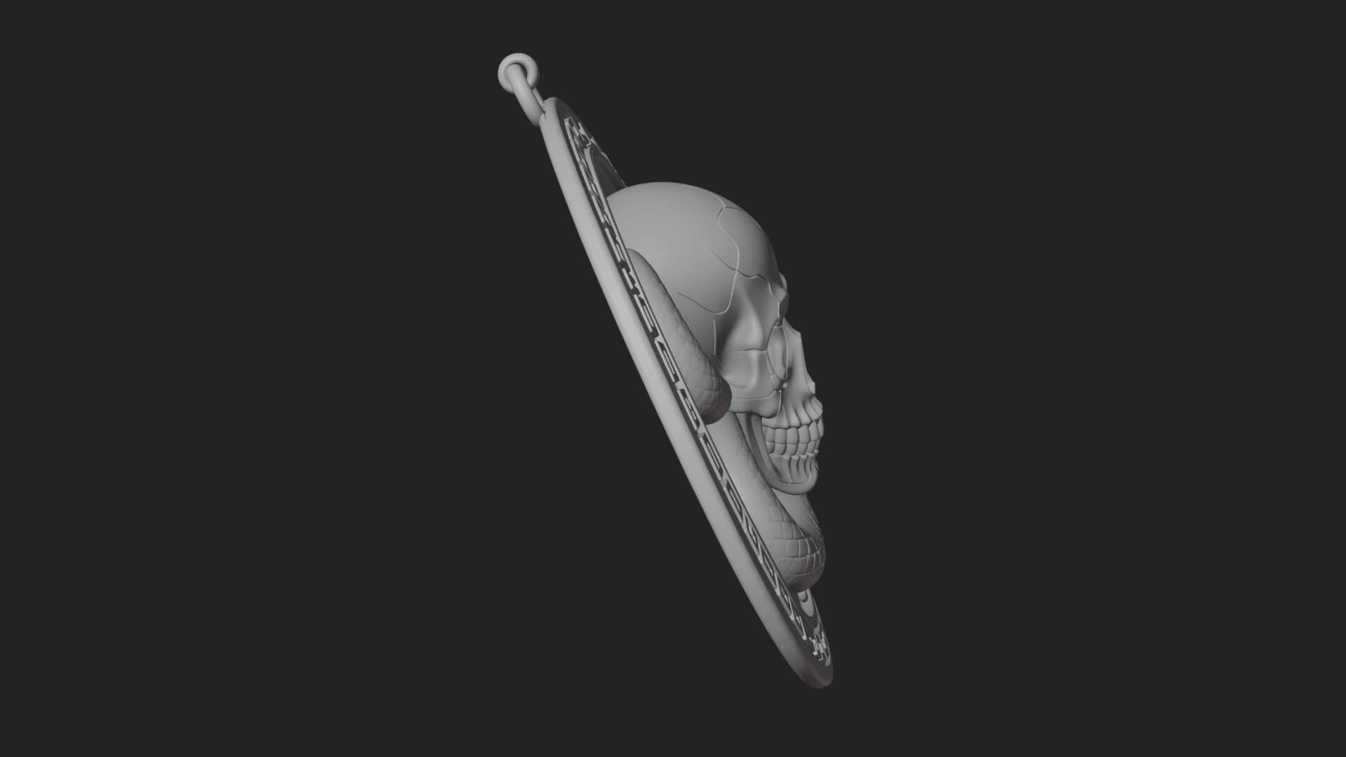 Snake Skull Oval Relief Plaque Design 3 3D Print Model 3D Model