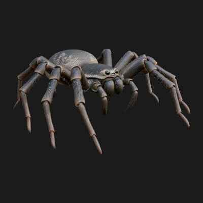 Spider Statue Design 13 3D Print Model
