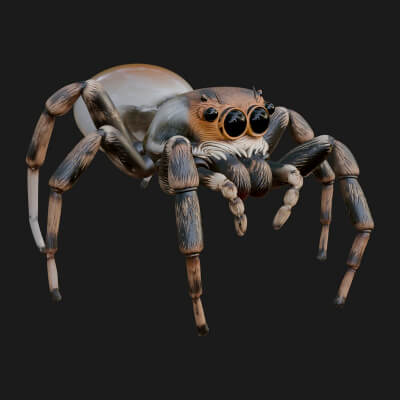 Spider Statue Design 14 3D Print Model