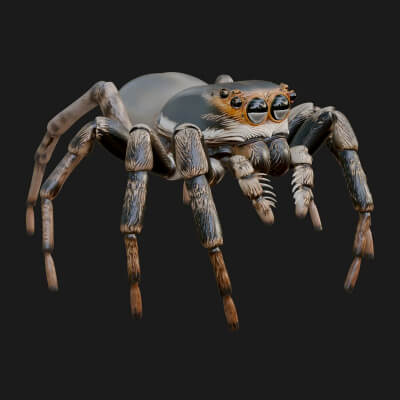Spider Statue Design 5 3D Print Model