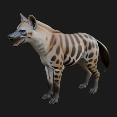 Spotted Hyena Statue Design 7 3D Print Model
