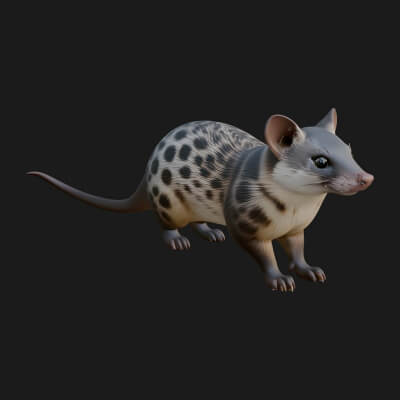Spotted Quoll Statue Design 4 3D Print Model