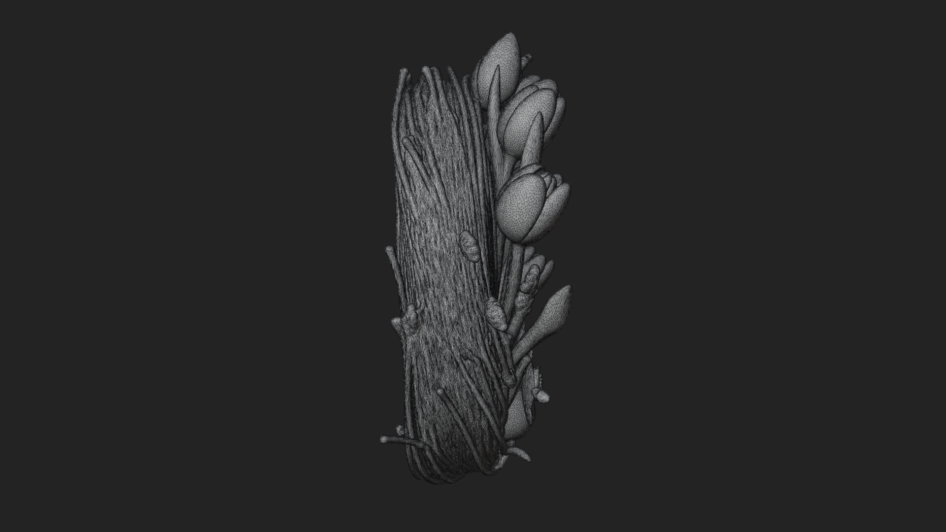 Spring Tulip Wreath Ornament Design 2 3D Print Model 3D Model