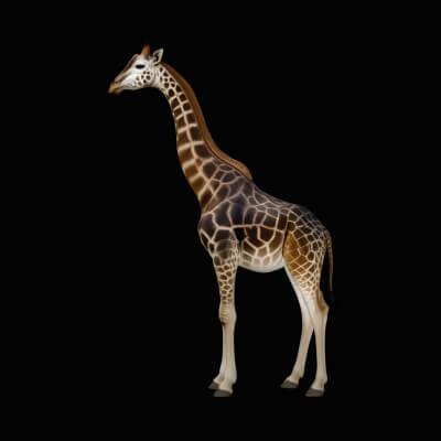 Standing Giraffe Statue Design 1 3D Print Model