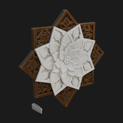 Star Framed Flower Plaque Design 3 3D Print Model