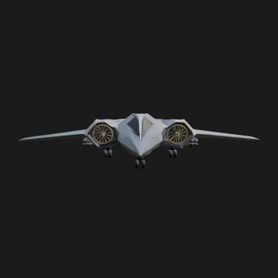 Stealth Bomber Plane Model Design 3 3D Print Model