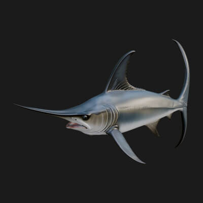 Swordfish Statue Design 7 3D Print Model