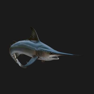 Swordfish Statue Design 8 3D Print Model