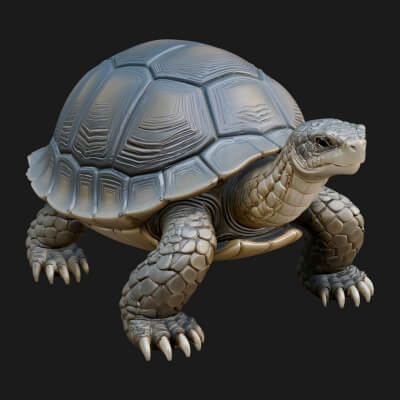 Tortoise Statue Design 3 3D Print Model