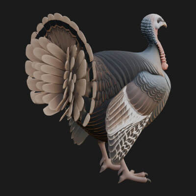 Turkey Bird Statue Design 4 3D Print Model