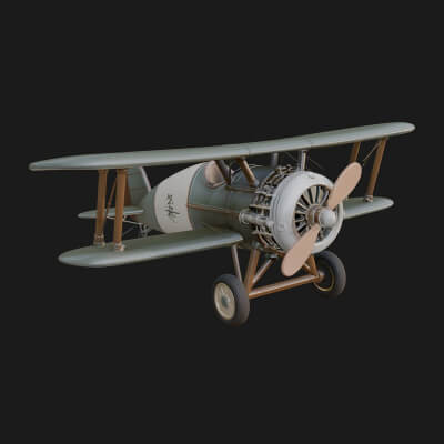 Vintage Biplane Model Design 24 3D Print Model