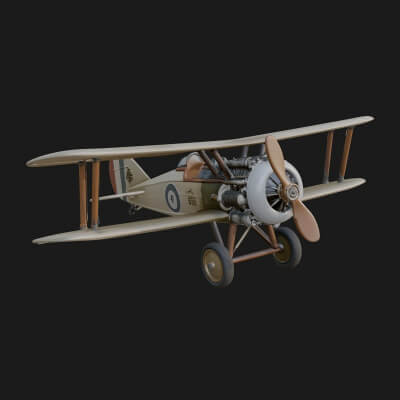 Vintage Biplane Model Design 33 3D Print Model
