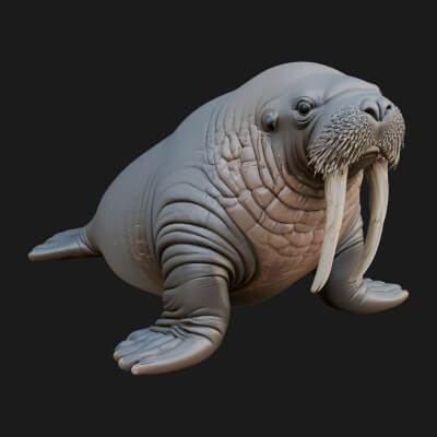 Walrus Statue Design 5 3D Print Model