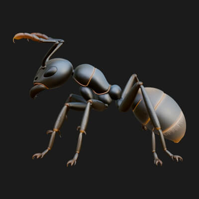 Worker Ant Statue Design 2 3D Print Model