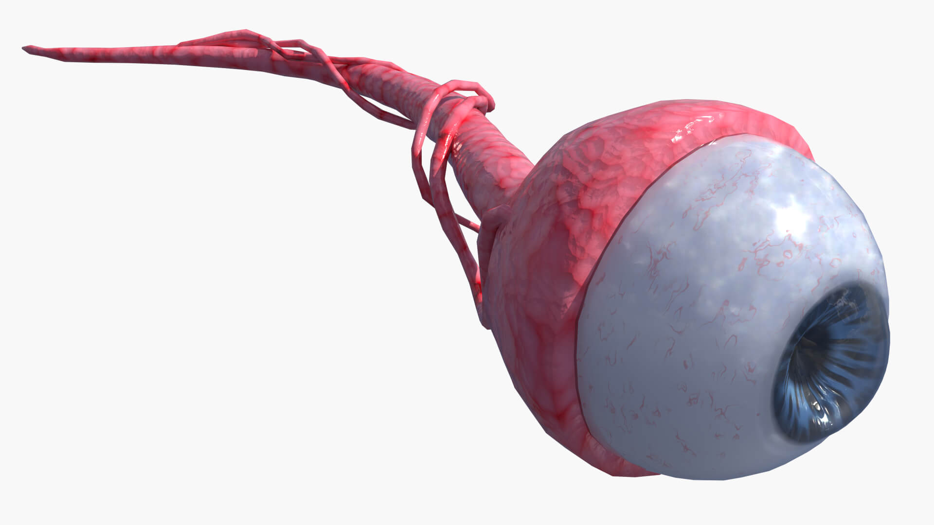 Lowpoly Human Eye 3D Model