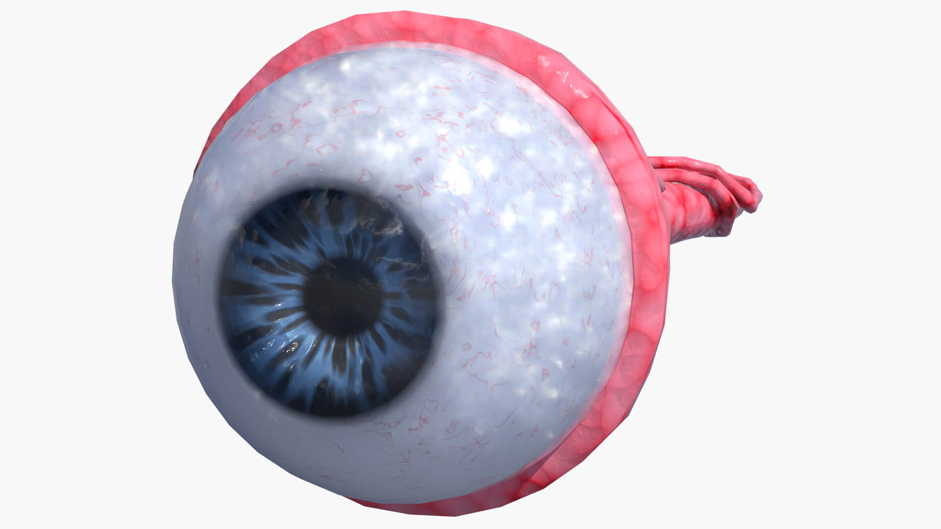 Lowpoly Human Eye 3D Model