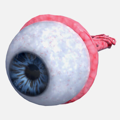 Lowpoly Human Eye