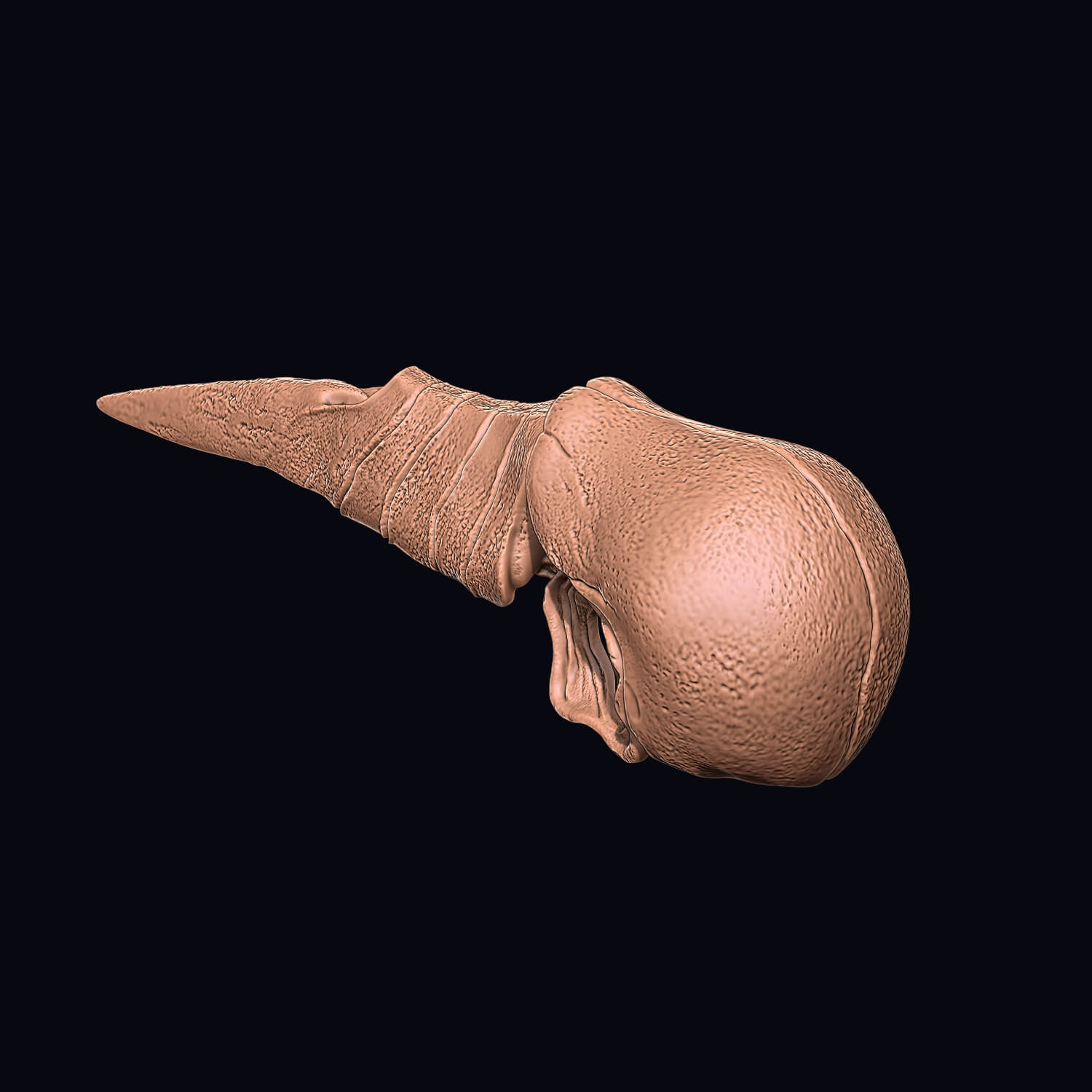Poppy Playtime Mask 3D Model