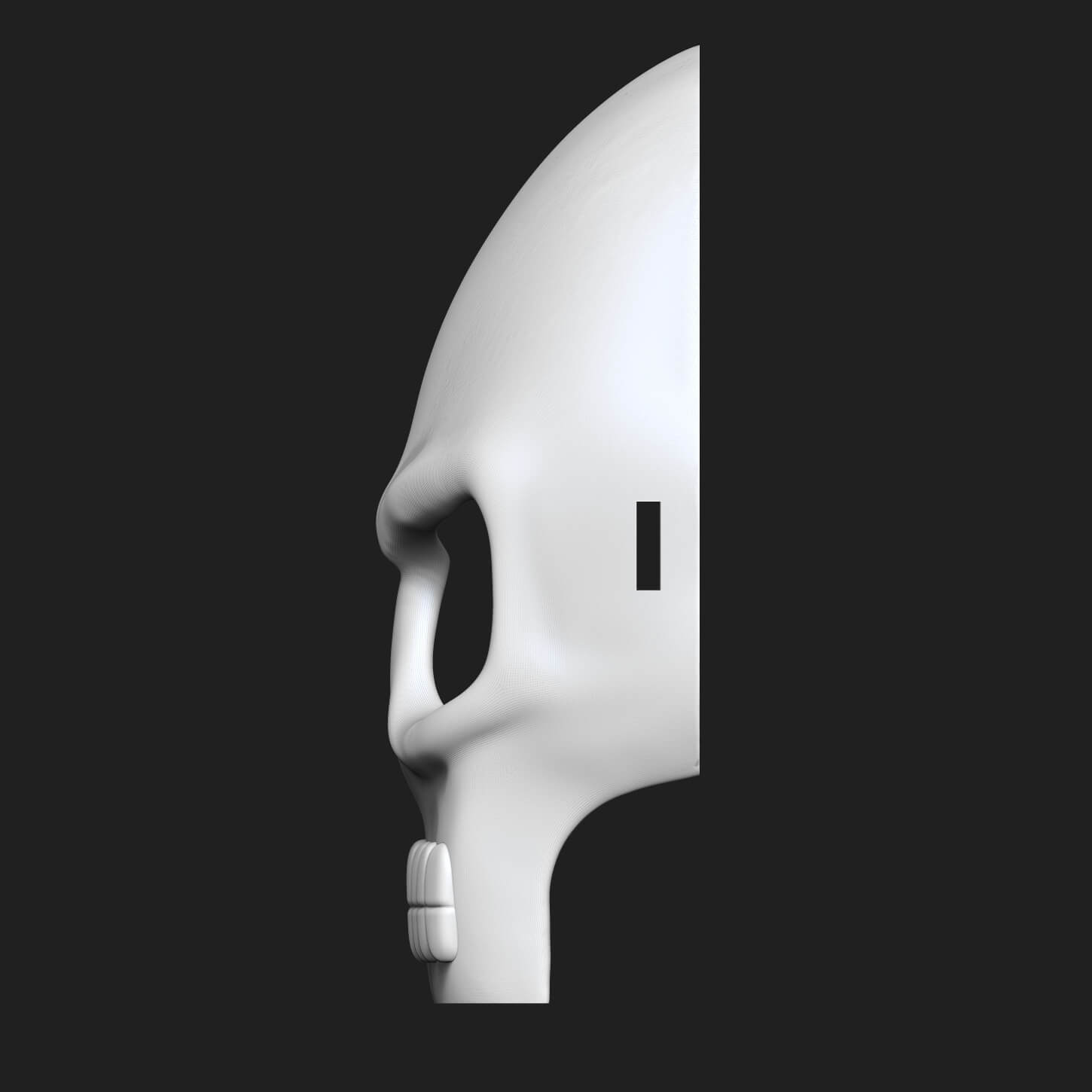 Skull Mask Skull 3D Model
