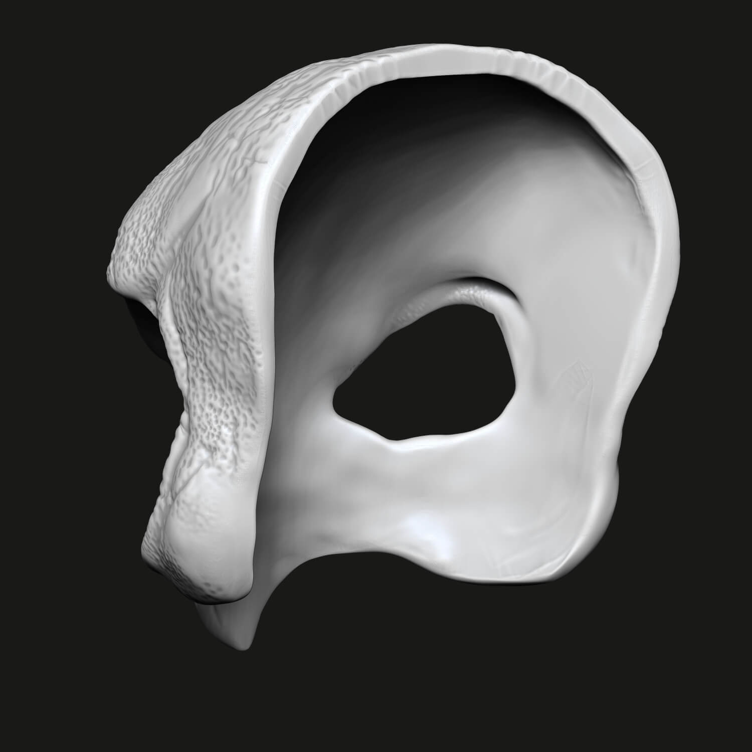 Strigiformes Mask 3D Model