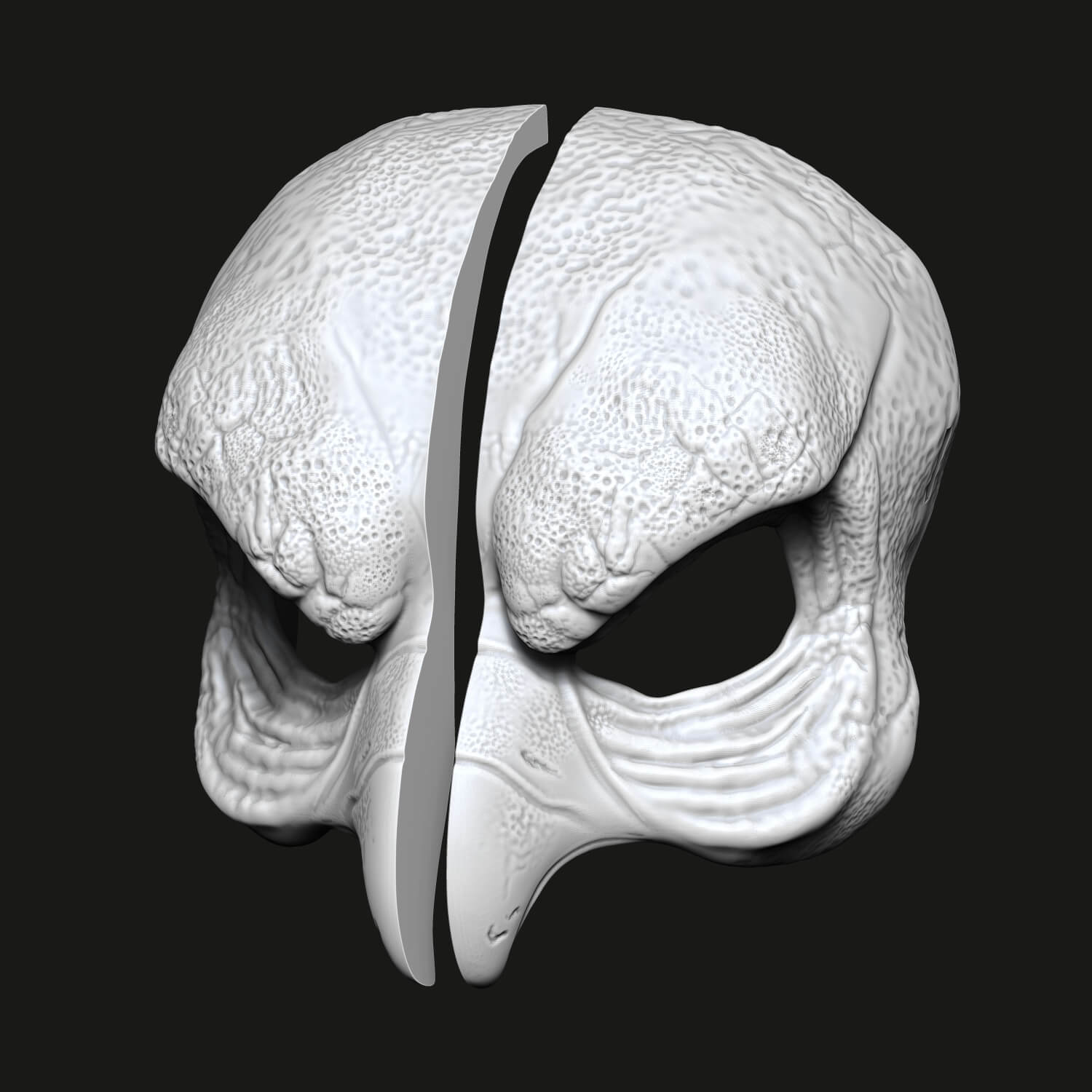 Strigiformes Mask 3D Model