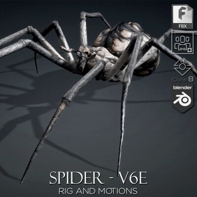 Spider-V6e-Animated