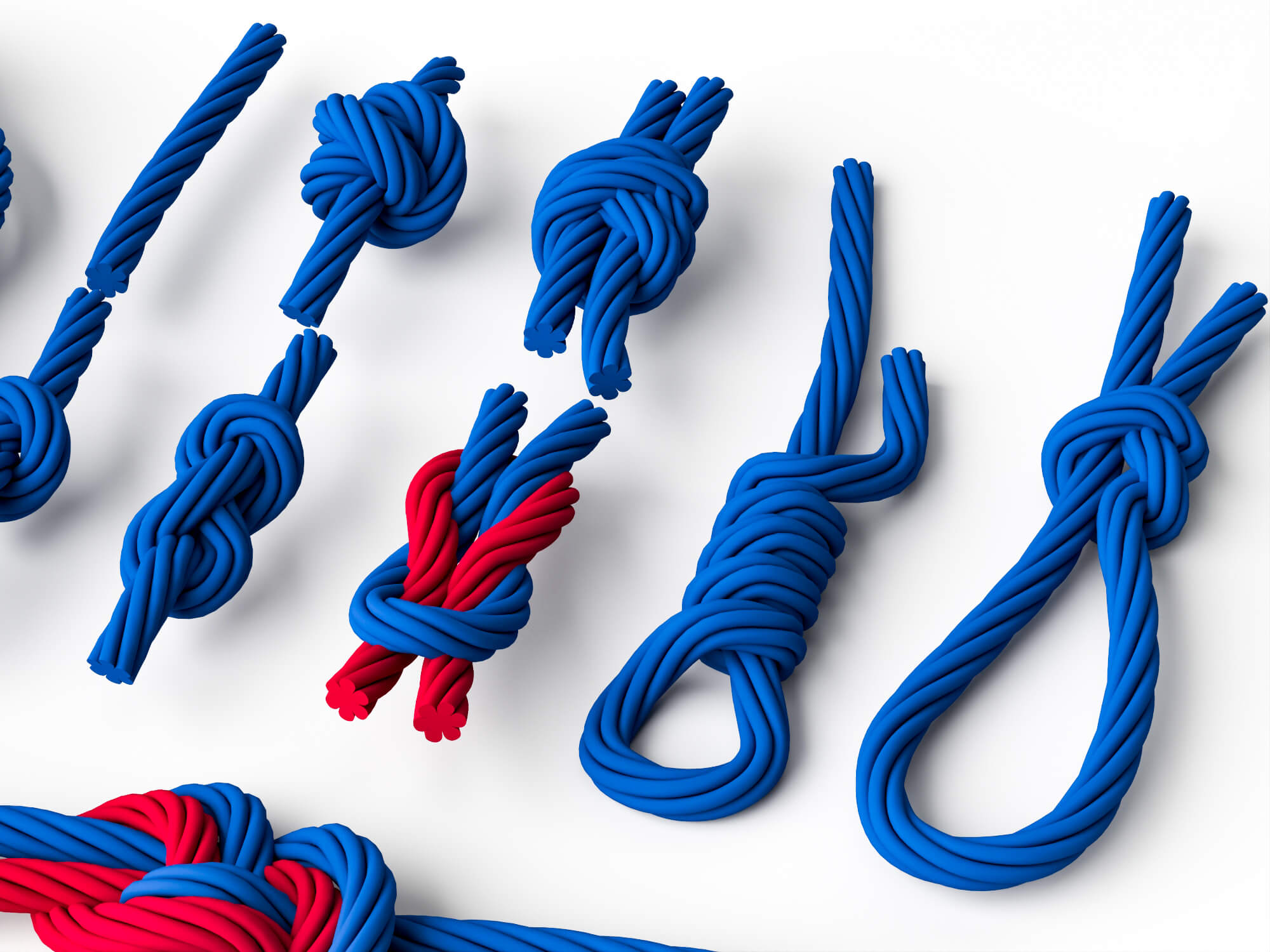 Rope Knots 3d Model Pack 3D Model