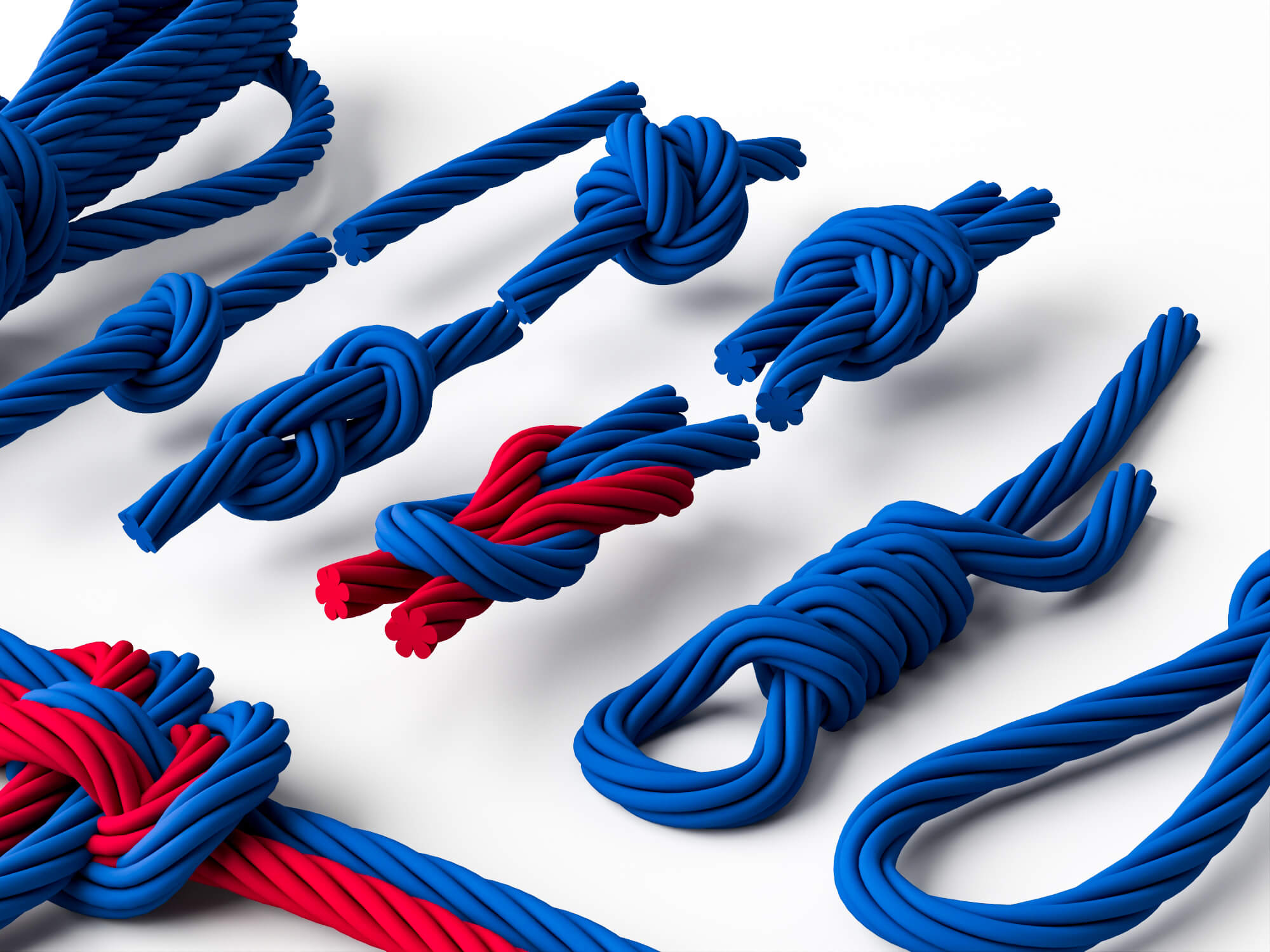 Rope Knots 3d Model Pack 3D Model