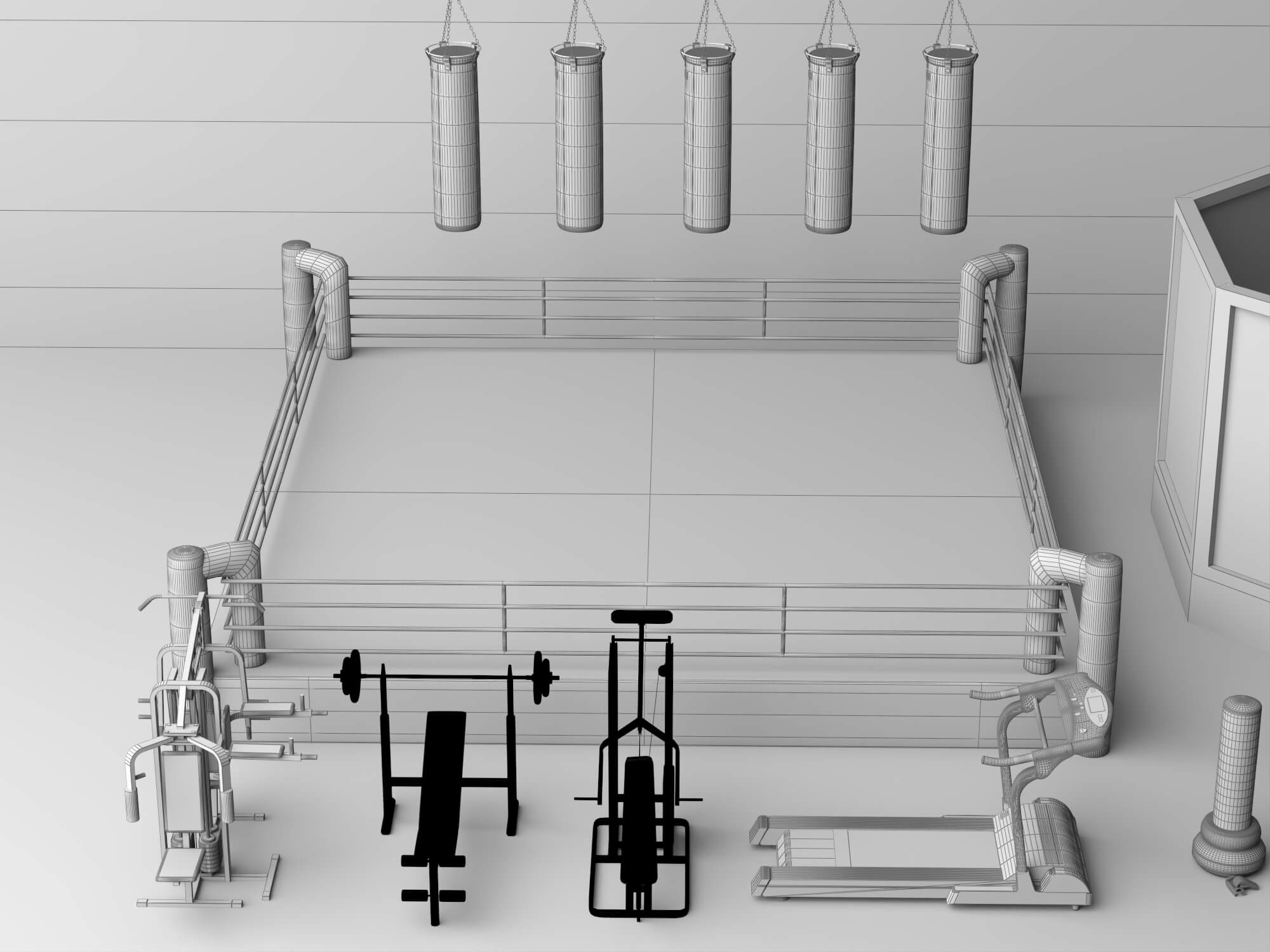 Boxing Ring MMA Cage and Gym Equipment Set 3D Model