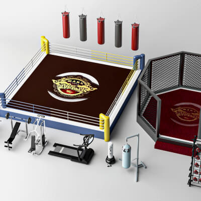 Boxing Ring MMA Cage and Gym Equipment Set