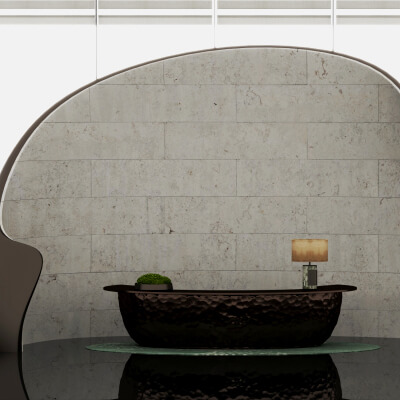 Organic Shape Reception Counter 3D Scene