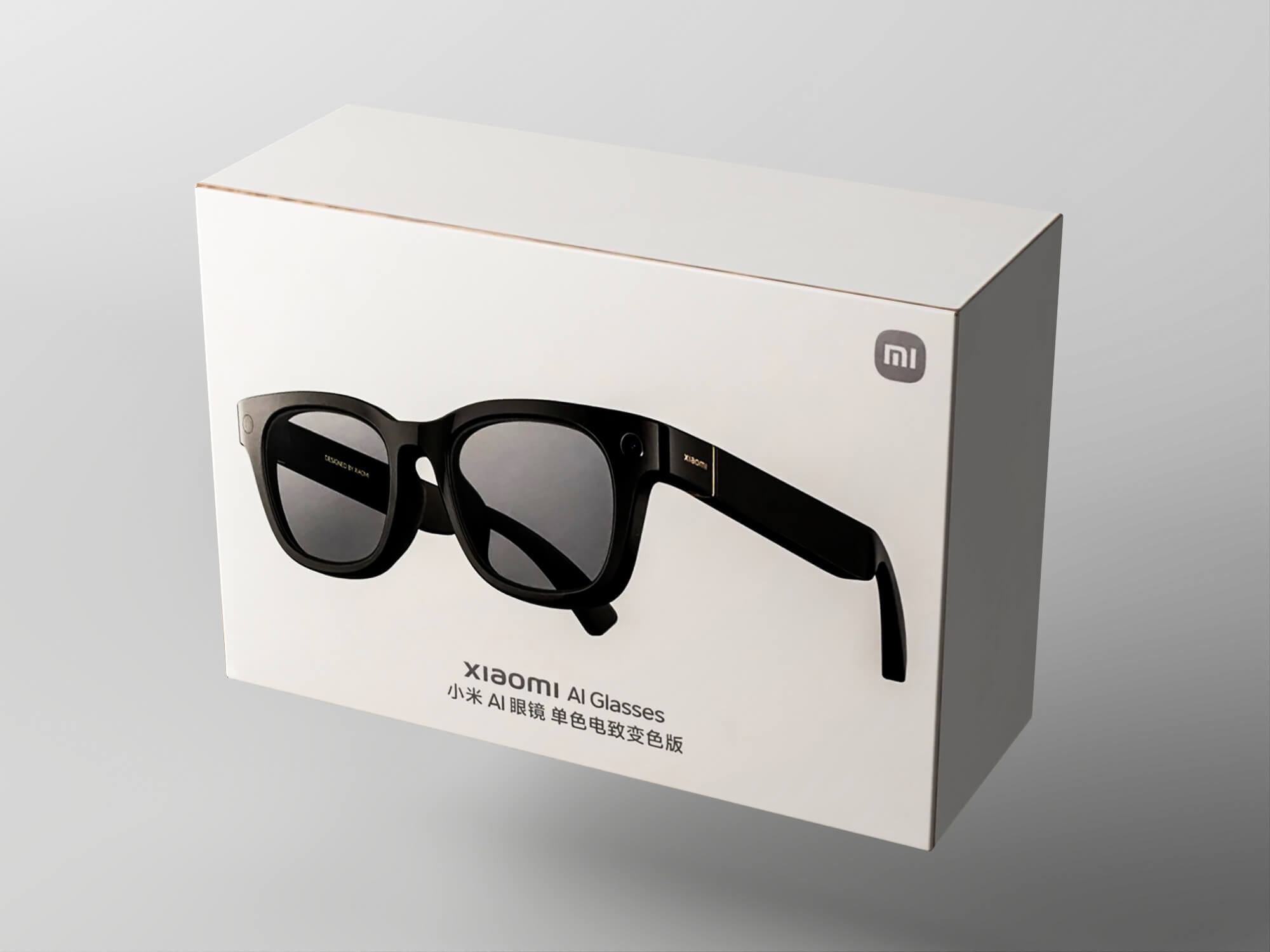 Smart AI Eyeglasses Lowpoly 3D Model 3D Model