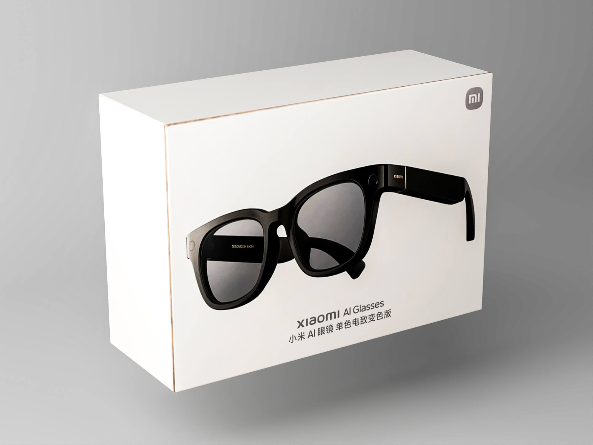 Smart AI Eyeglasses Lowpoly 3D Model 3D Model