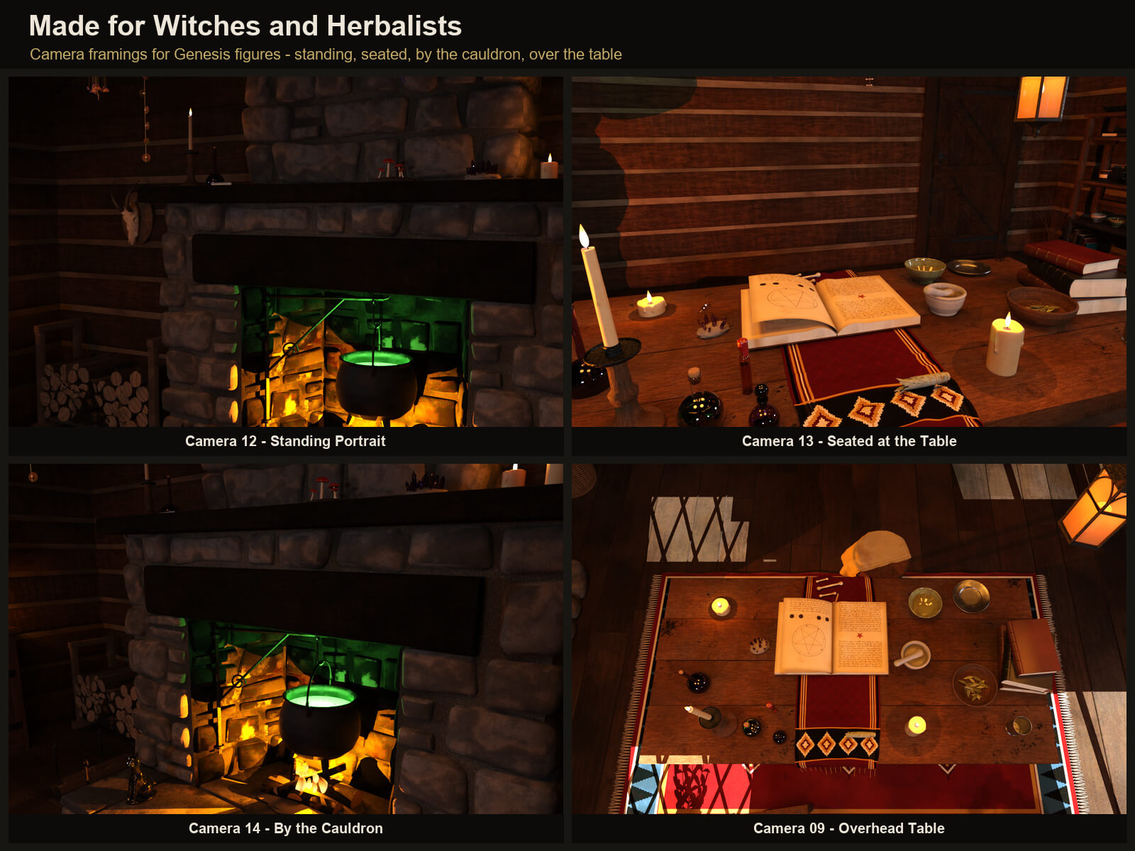 Witch Hut Interior for DAZ Studio Daz Content