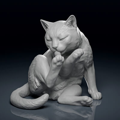 Detailed Grooming Cat 3D Print
