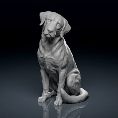 Detailed Sitting Labrador 3D Print Model