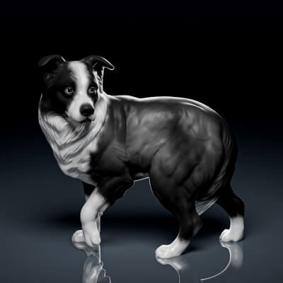 Detailed Standing Collie Dog 3D Print Model