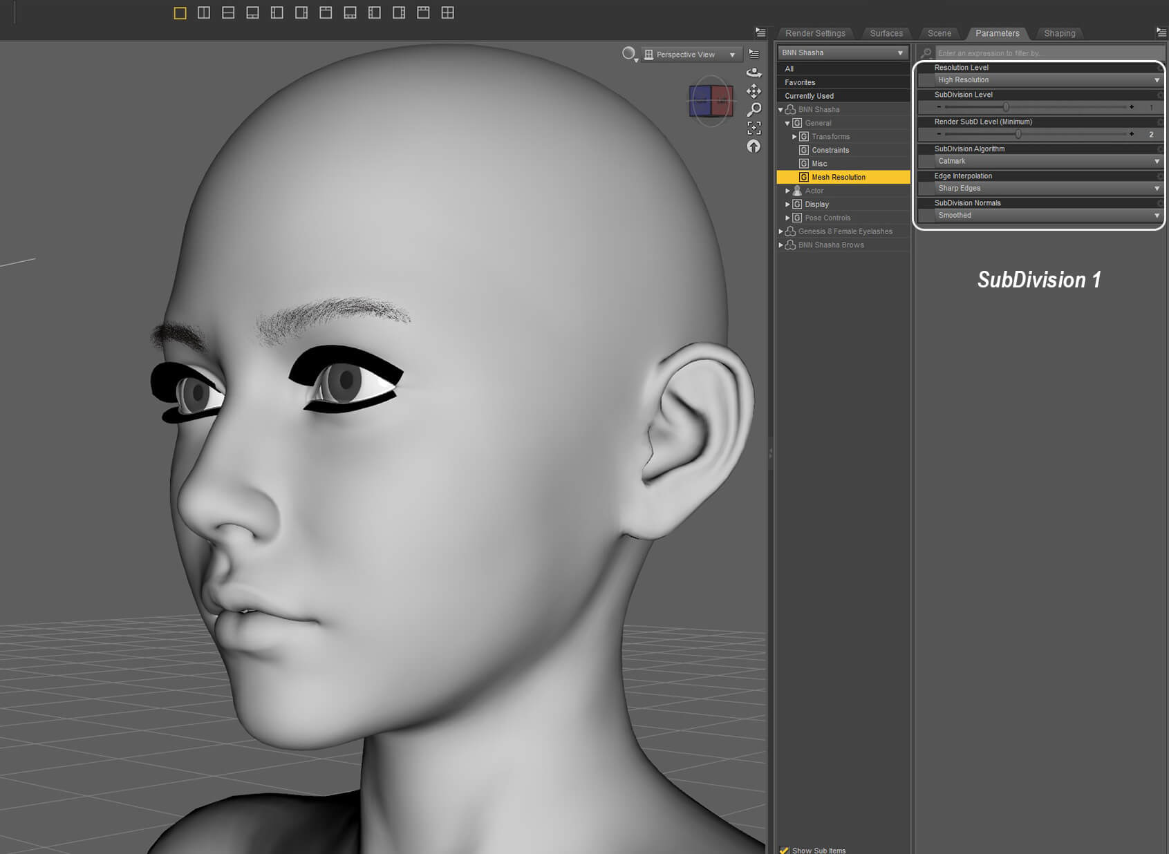 BNN Shasha for Genesis 8 Female Daz Content