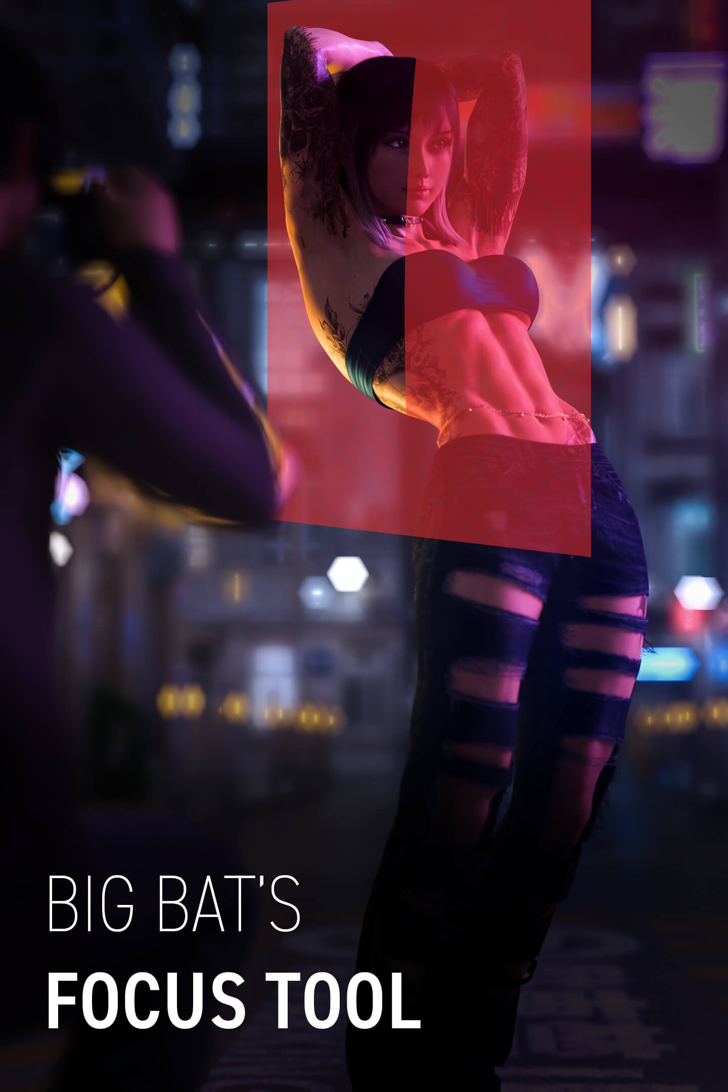 Big Bat Focus Tool 3D Software or Plug-In